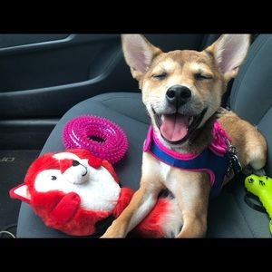 Meet your Posher, Emily